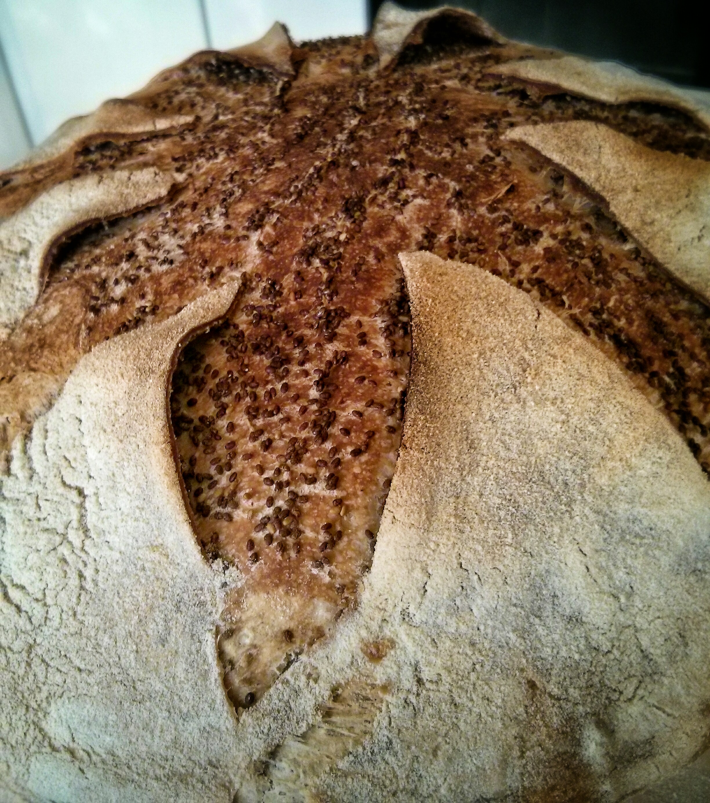 Pane incamiciato foto 2