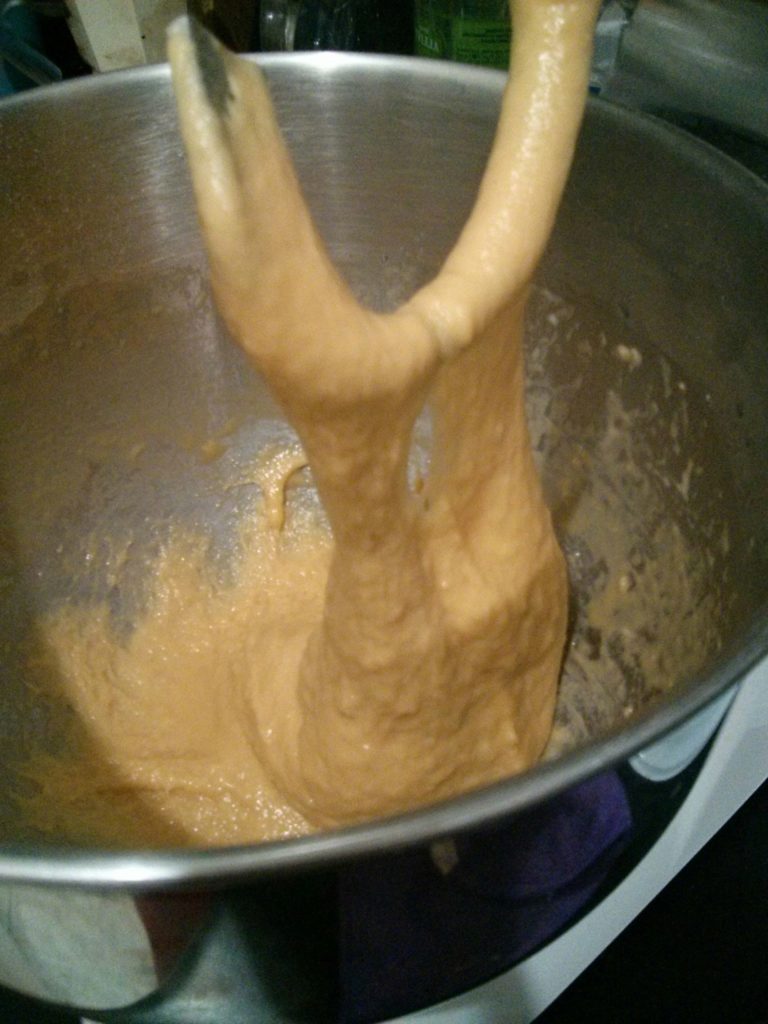 Preparazione del panettone