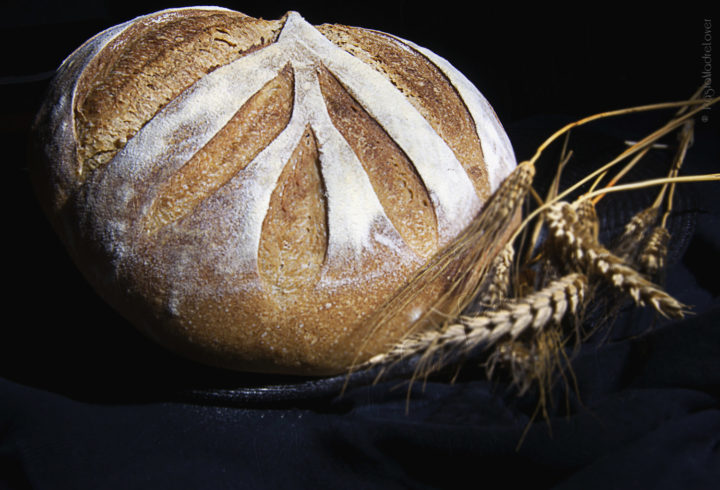 Pane di semola e farro integrale