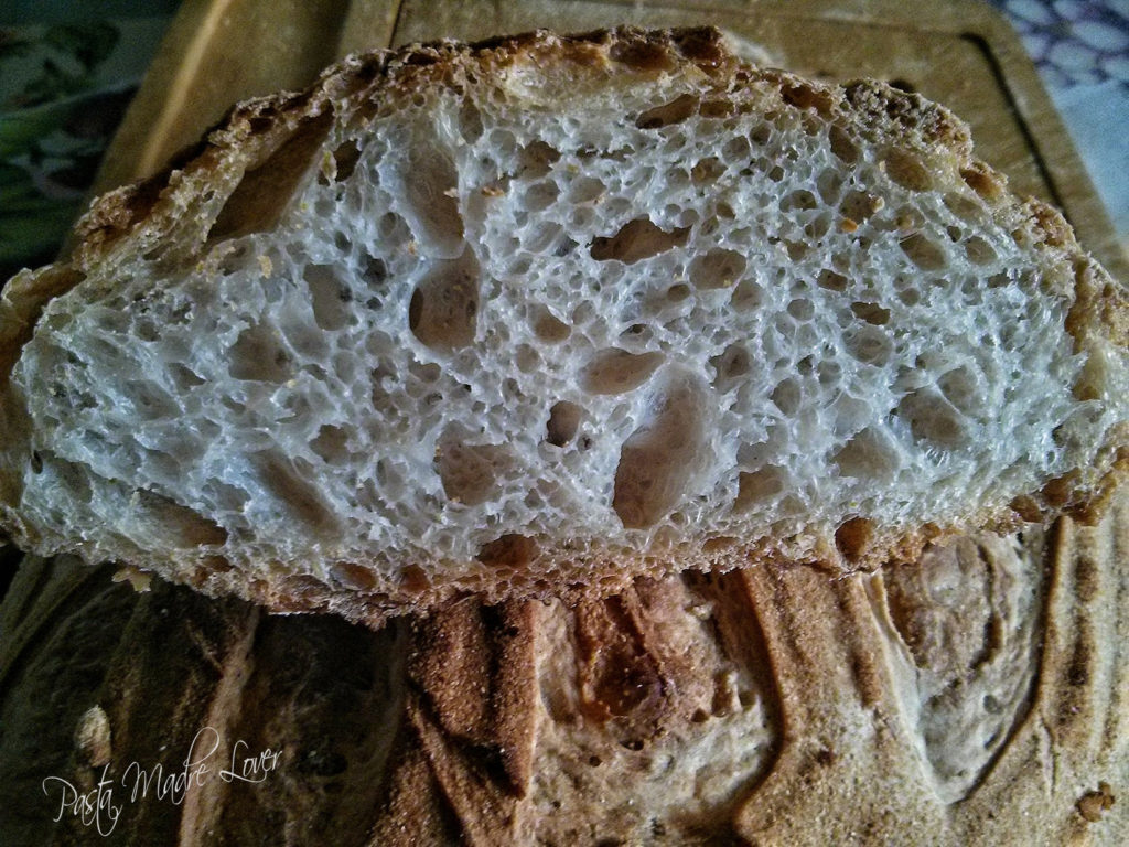 Pane senza impasto con farina Unica Molino Quaglia