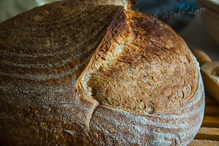 Pane cafone o pane elegante