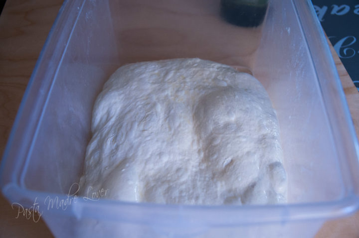 Impasto Pane maltagliato a lievitazione naturale