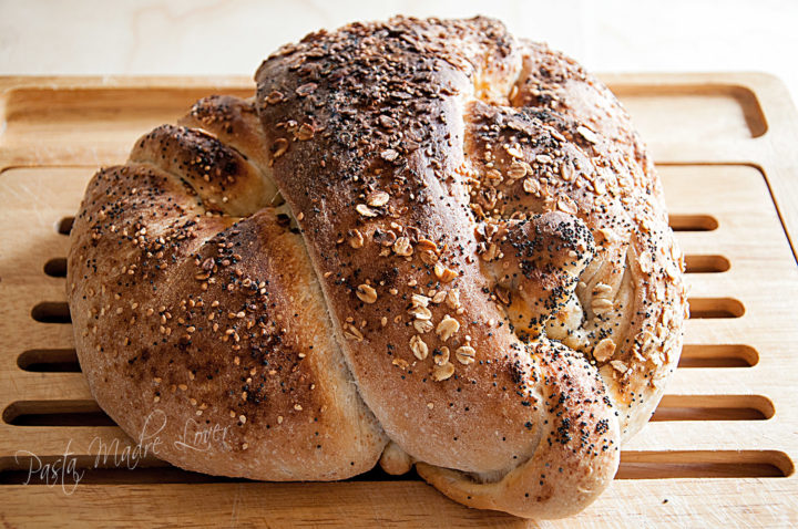 Pane all'olio evo