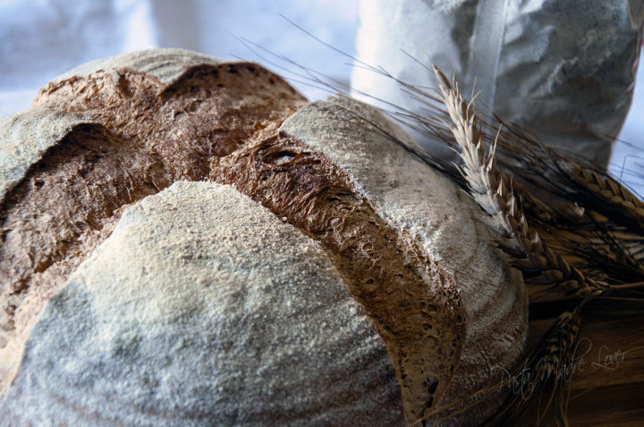 pane con pasta madre acida a base lattica