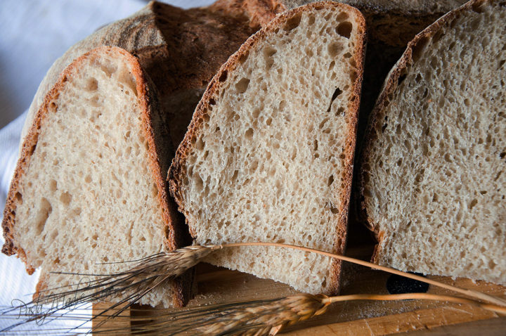 pane con pasta madre acida a base lattica