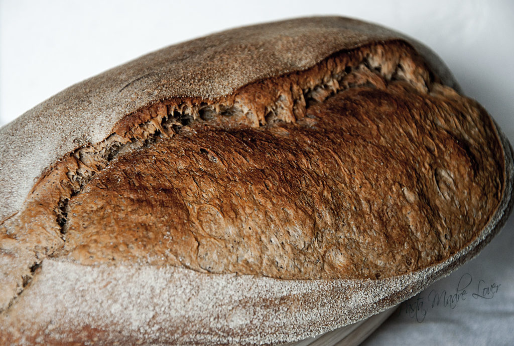 Pane al caffè con Triticum Spelta