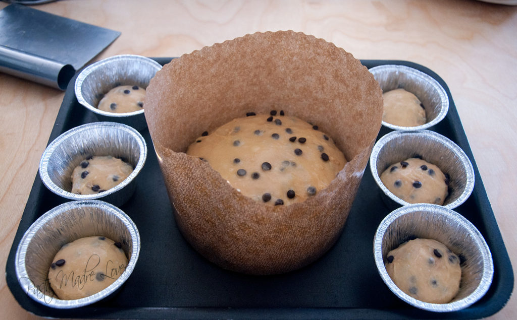 Panettone con madre solida al fondente