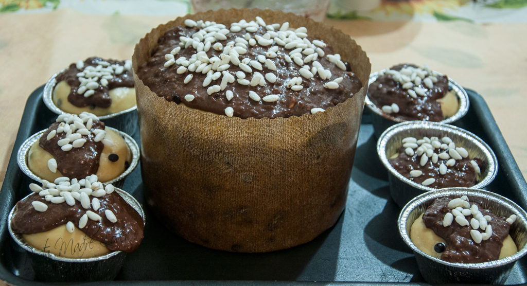 Panettone con madre solida al fondente