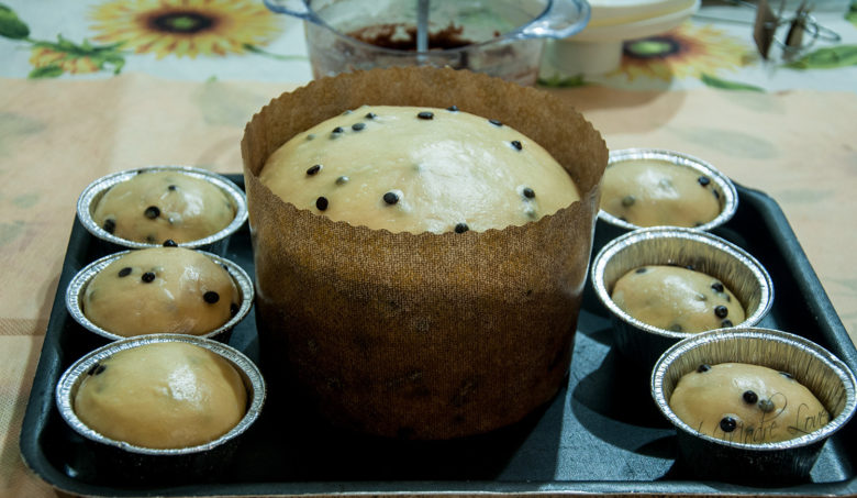 Panettone con madre solida al fondente