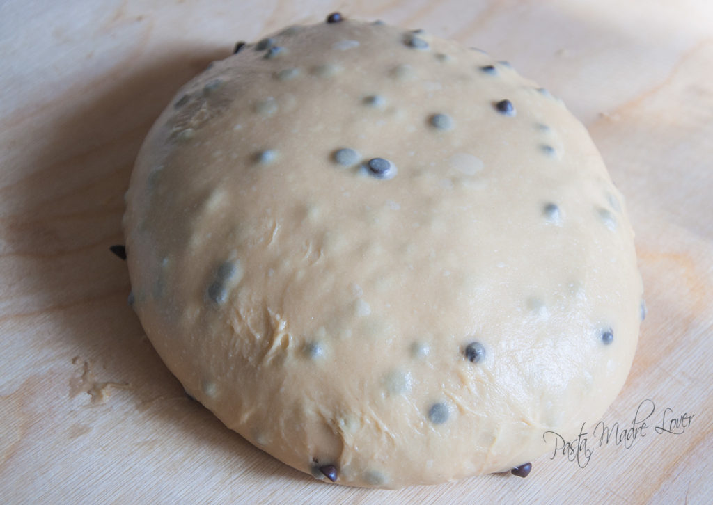 Panettone con madre solida al fondente