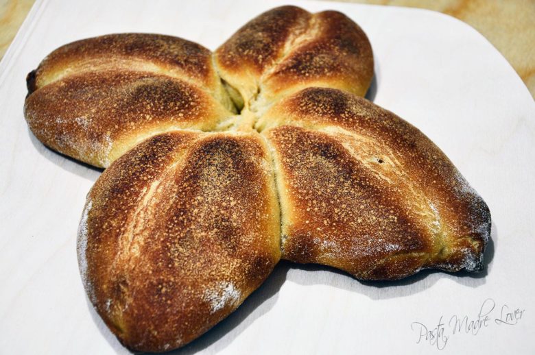 Girandole al grano duro con lievito di birra