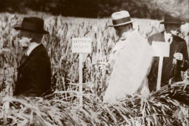 Strampelli, Vittorio Emanuele e Mussolini