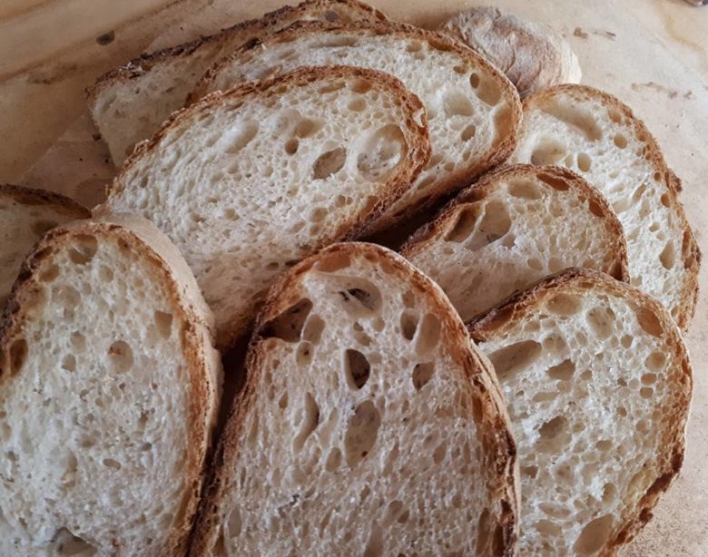 Mollica di pane