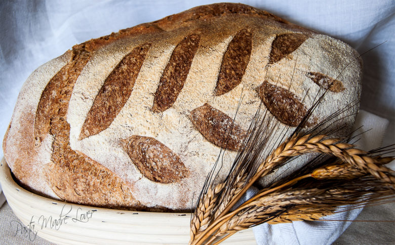 Pane campagnolo