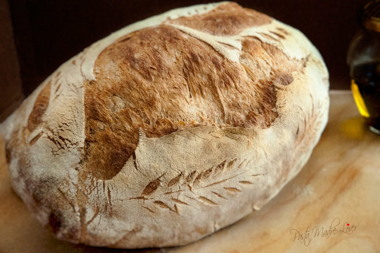 Pane di grano tenero "Abbondanza" con pasta di riporto