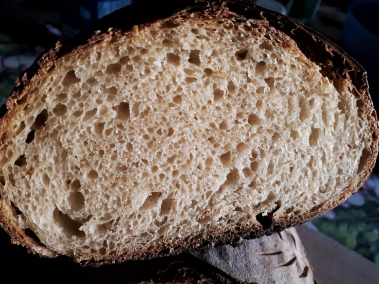Pane senza impasto tutta semola rimacinata, no knead bread