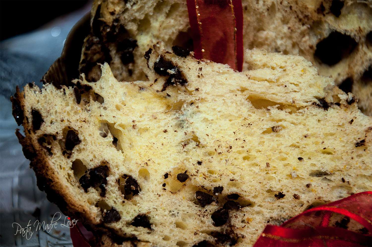 Panettone 2017 al fondente (metodo Patrizia Nofi)