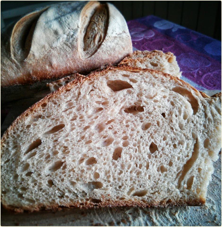 Pane Buratto in purezza