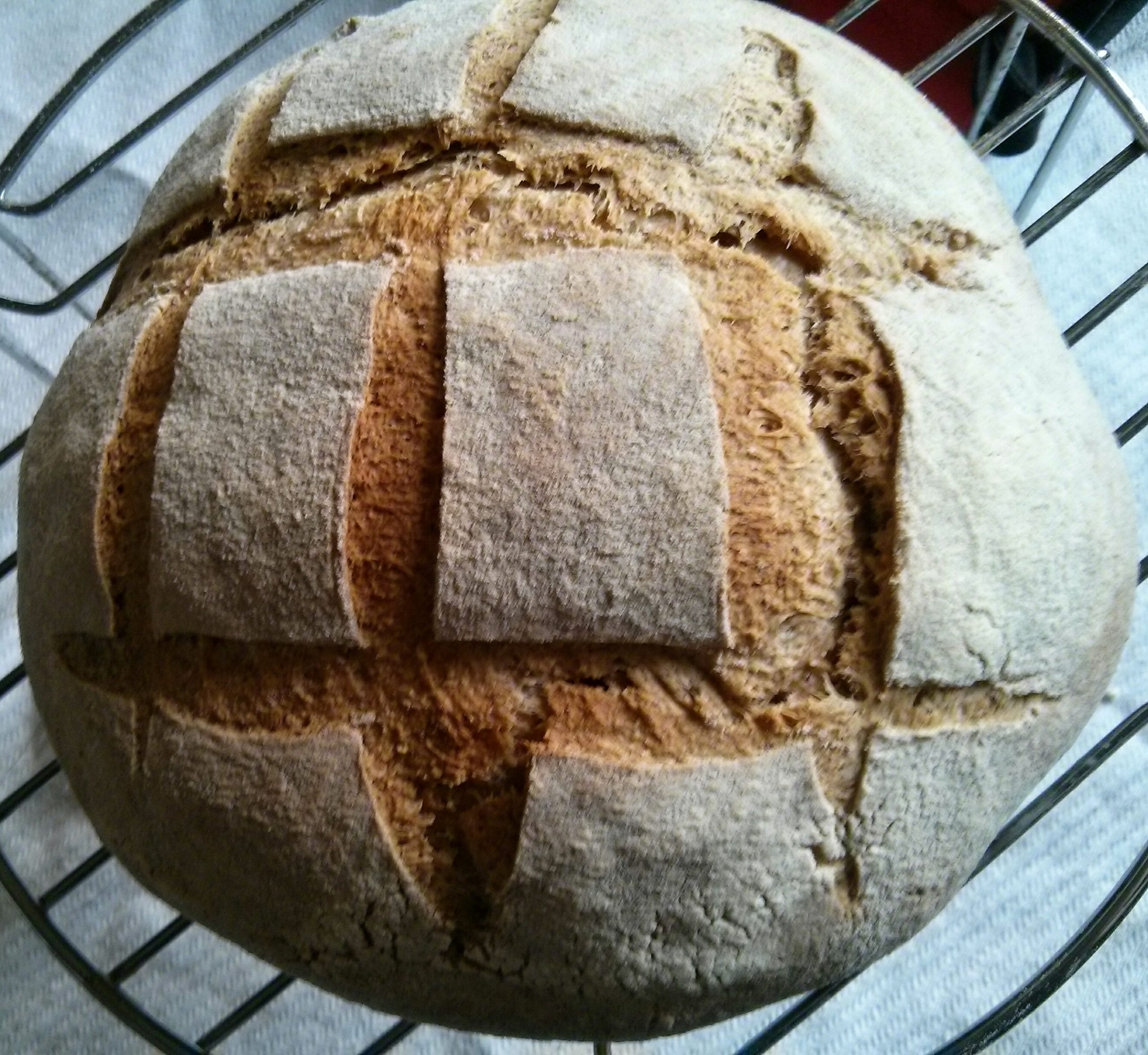 Pane di grano tenero integrale