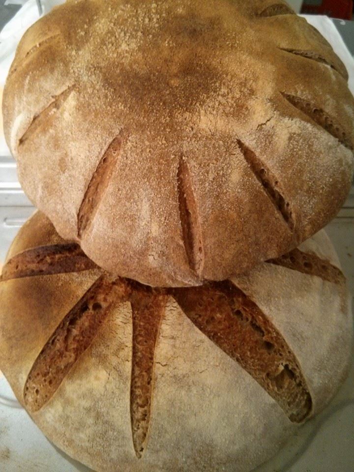 Pane con farina di gramo tenero di tipo 1