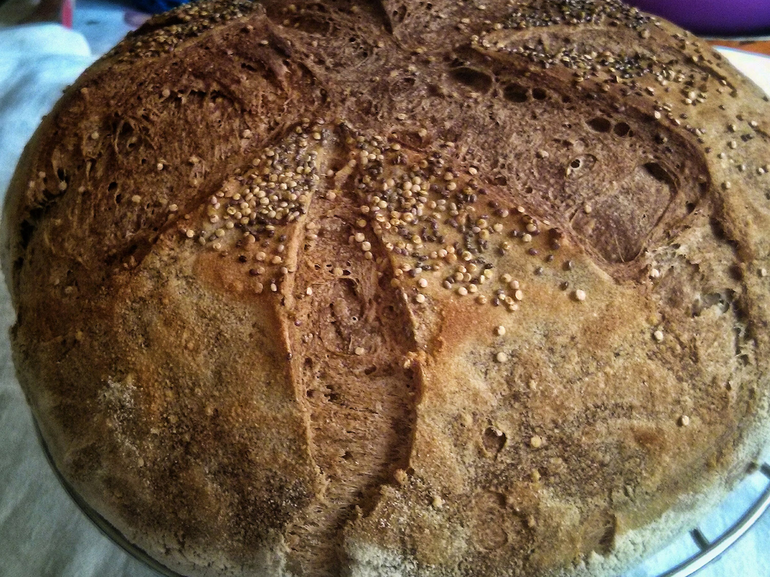 Pane c on farina di canapa