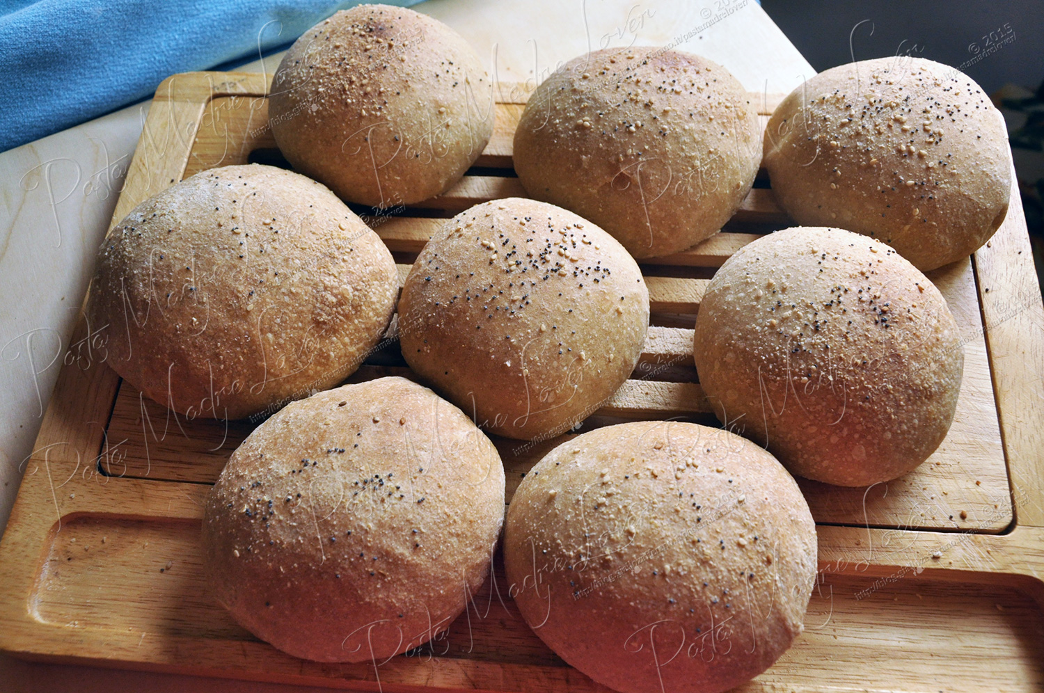 Panini morbidi all'olio