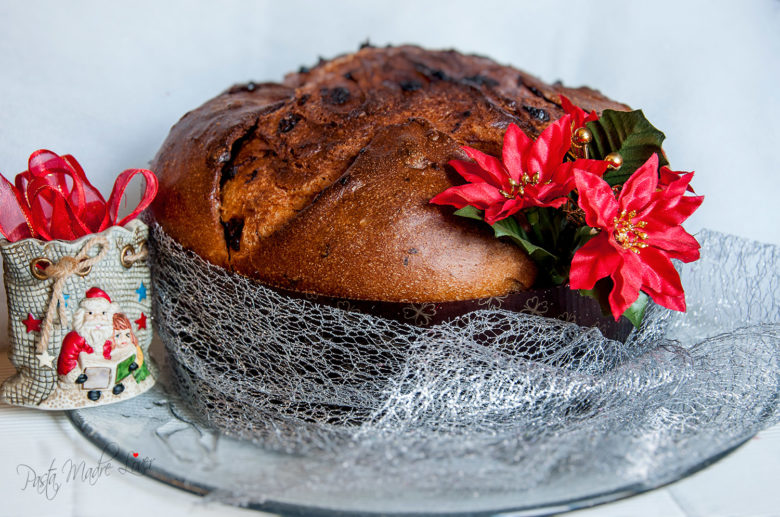 Panettone artigianale al cioccolato fondente