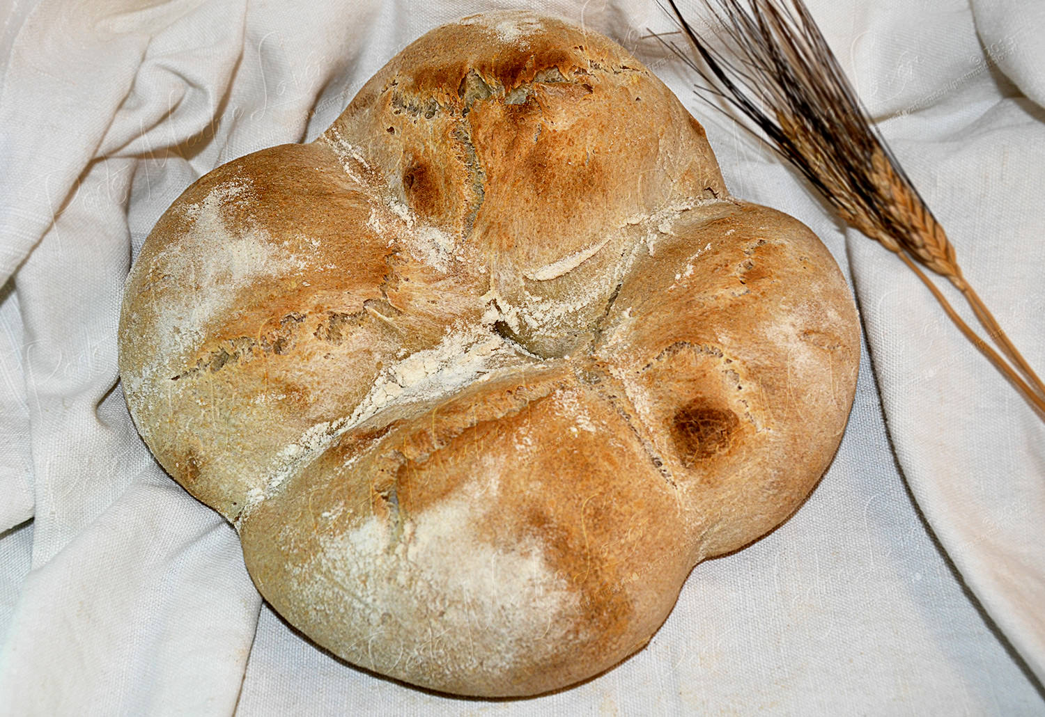 Pane rustico