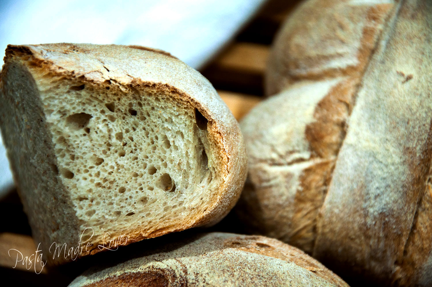 Thumbnail for Forme di pane, antico sapore genuino