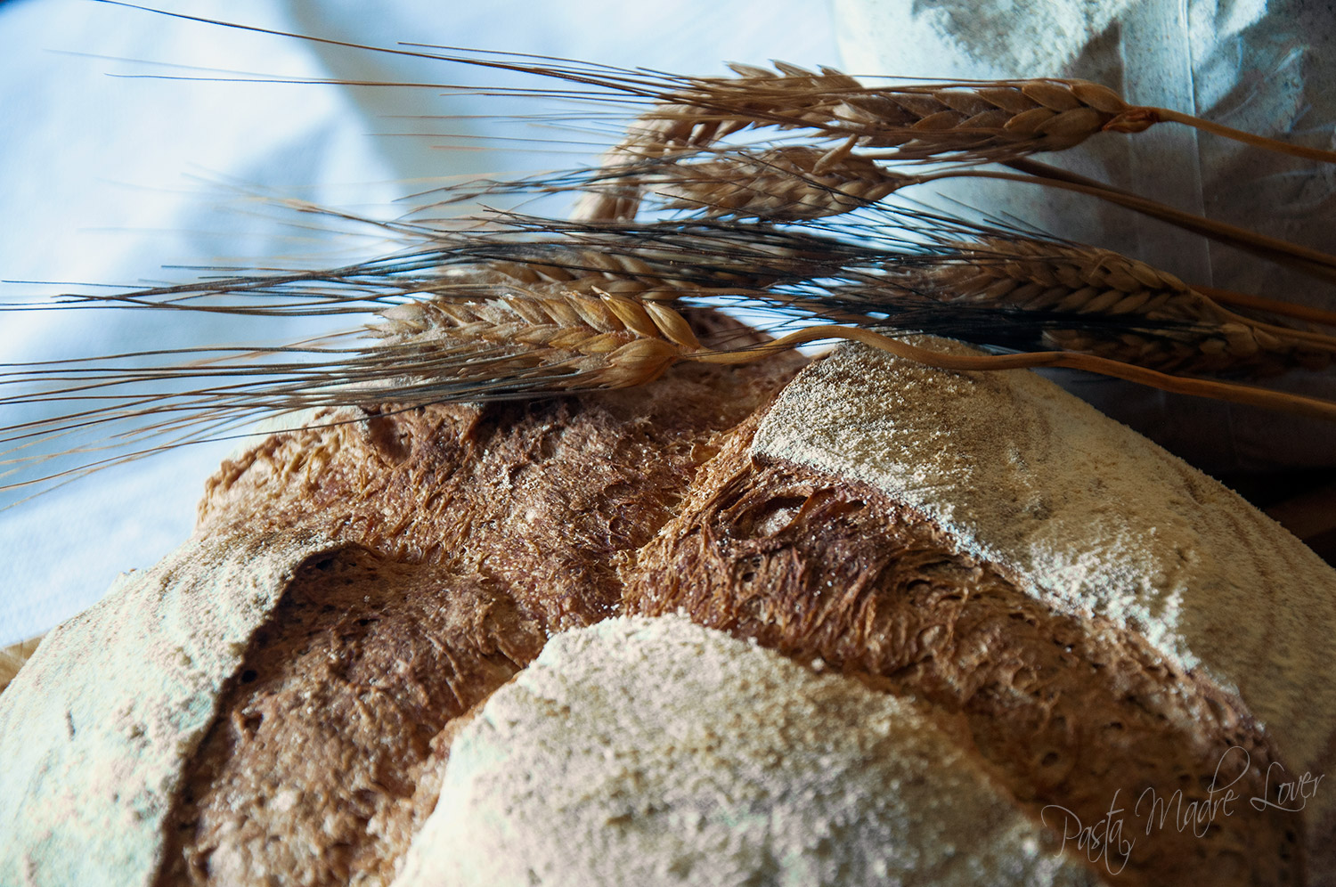 Pane con pasta madre acida a base lattica