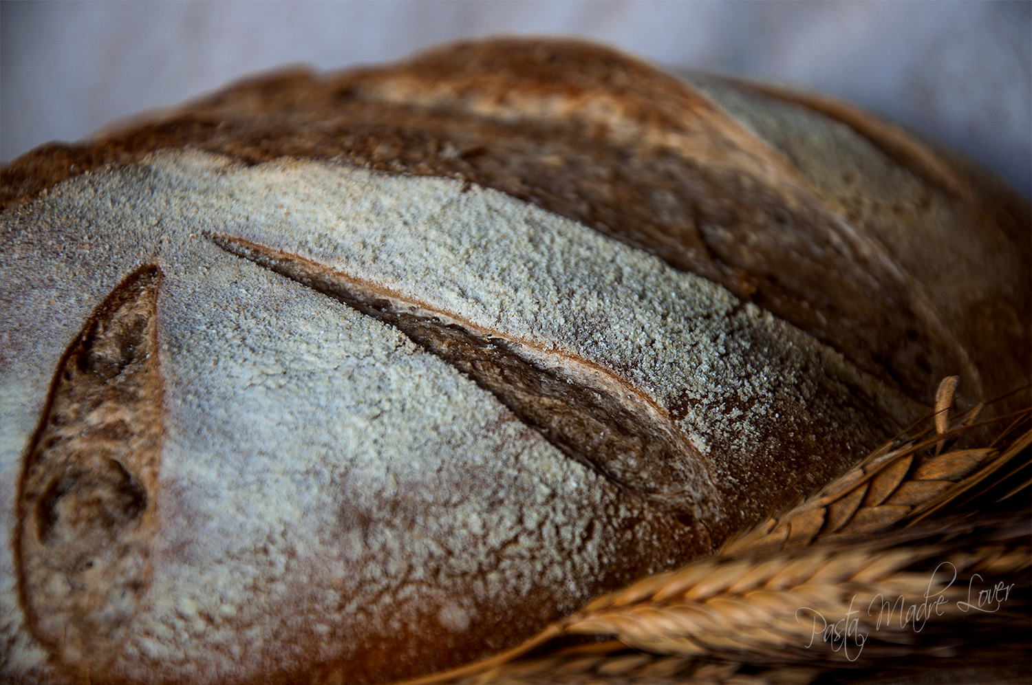 Pane con farina Vivenza in purezza