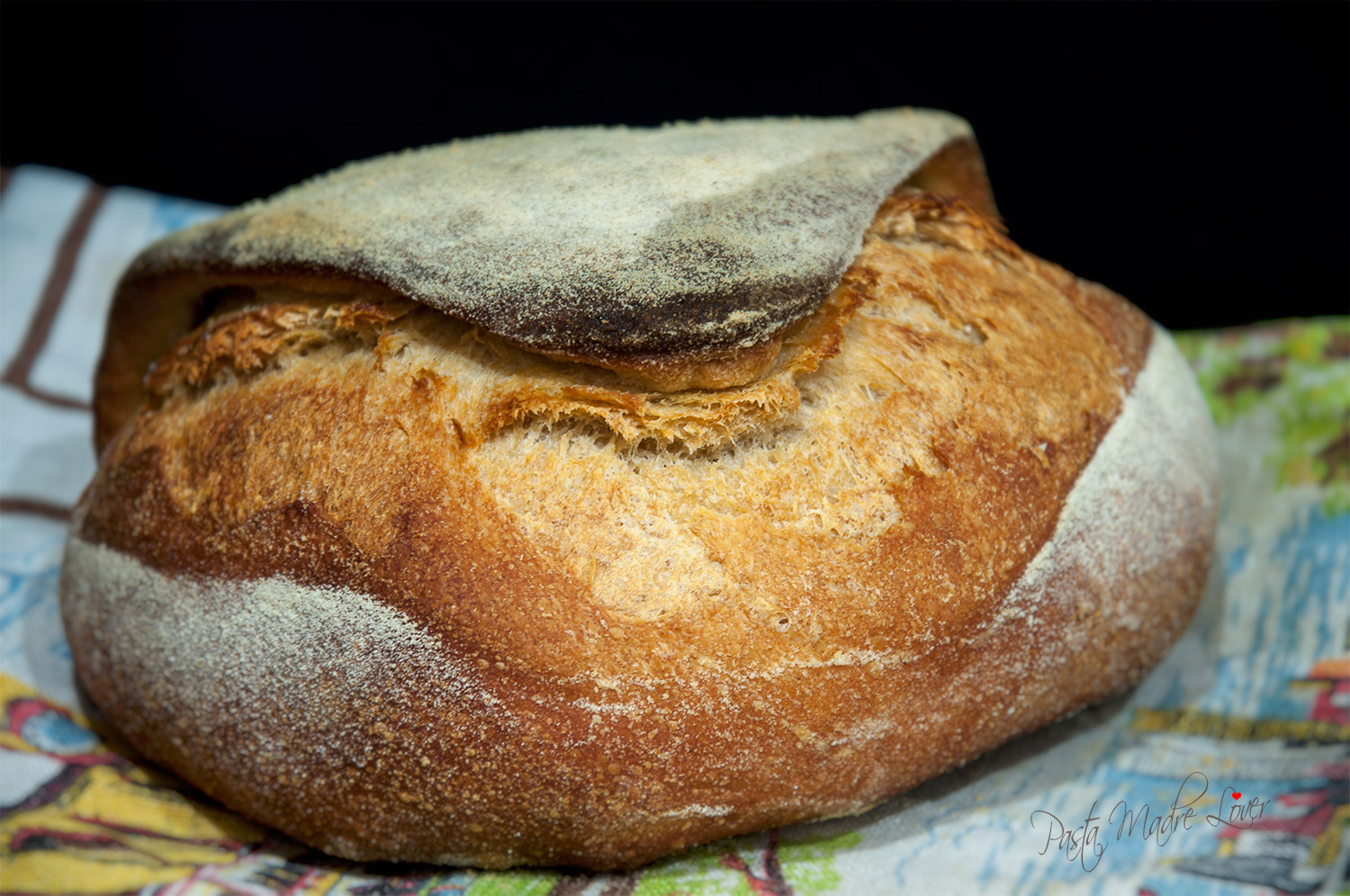 Tabatiére, forma di pane francese con prefermento di yogurt greco