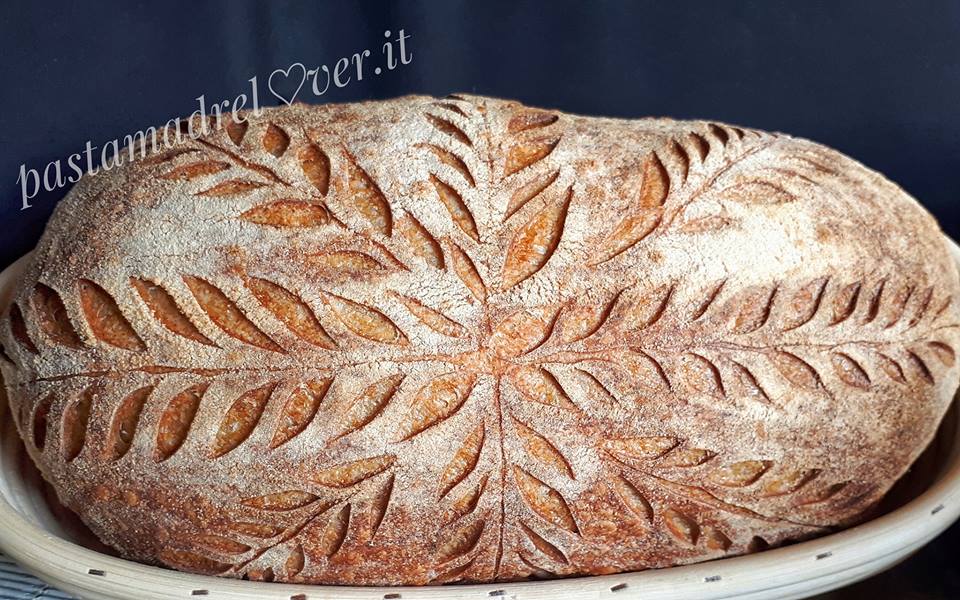 Thumbnail for Filoncino di pane con grano tenero di tipo 1 e pasta di riporto