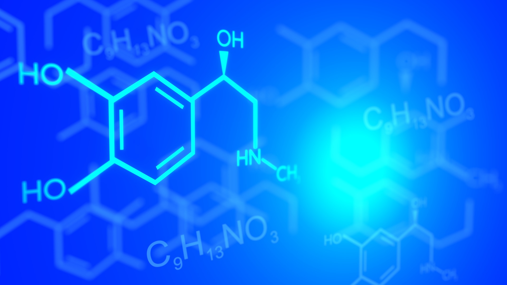 Thumbnail for Il pane, le nozioni scientifiche e la poliedricità del panificatore