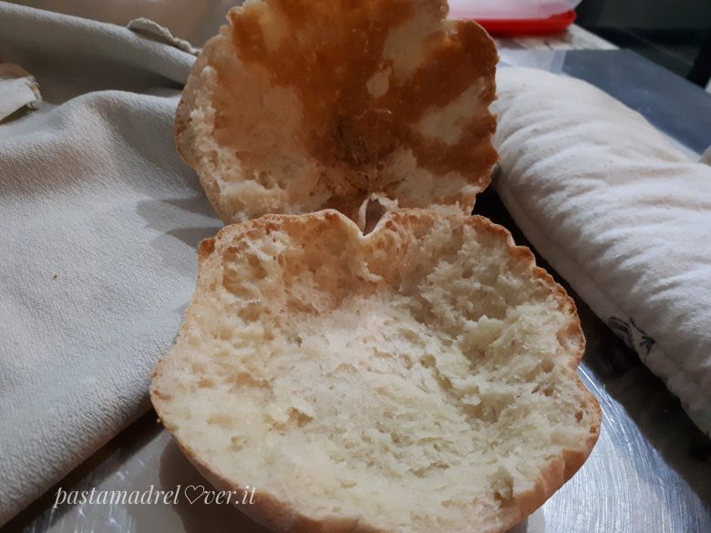 Pane arabo o pita aperto