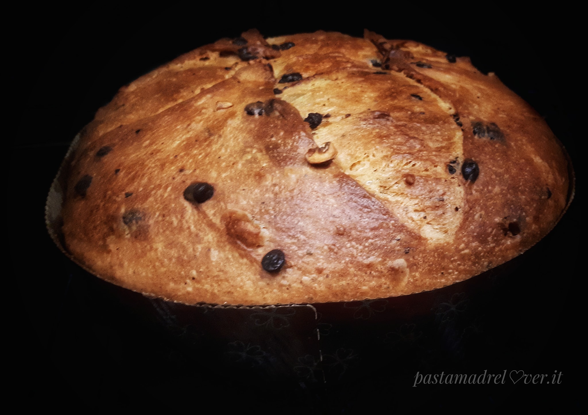 Panettone 2018 - nocciolato georgette