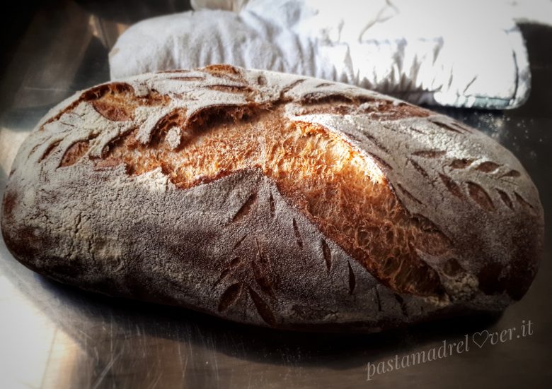 Pane tipo 2 a lievitazione mista