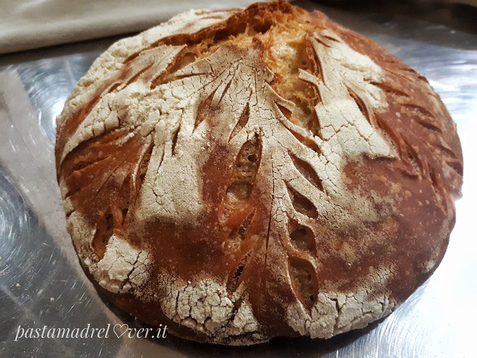 Pane foglie d'inverno